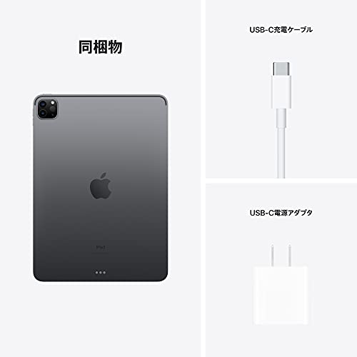2021 Apple 11インチiPad Pro (Wi-Fi, 256GB) - スペースグレイ