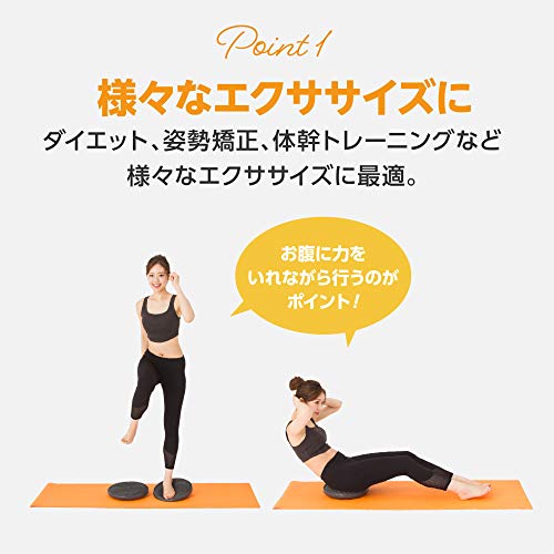 【Amazon限定ブランド】プリマソーレ(primasole) フィットネスボール 65cm インディゴブルー 空気入れ付き バランスボール フィットネス ピラティス PSS91NH015 & 【Amazon限定ブランド】 バランスディスク 【クールグレー】 2個入り 空気入れ付き 直径33cm 耐荷重250kg 体幹