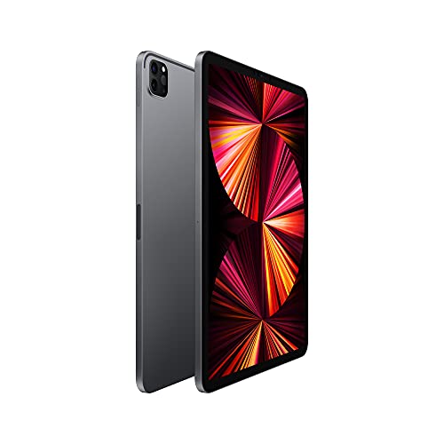 2021 Apple 11インチiPad Pro (Wi-Fi, 256GB) - スペースグレイ