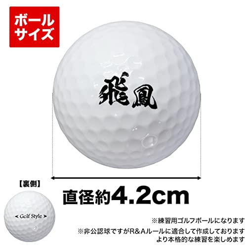 GolfStyle ゴルフマット ゴルフ 練習 マット 素振り スイング 練習器具 室内 屋外 人工芝 ゴムマット ラフ フェアウェイ 2WAY 33×62cm ゴルフティー ゴルフボール Cセット