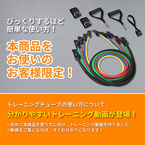TheFitLife トレーニングチューブ チューブ トレーニング 筋トレチューブ(50kg)