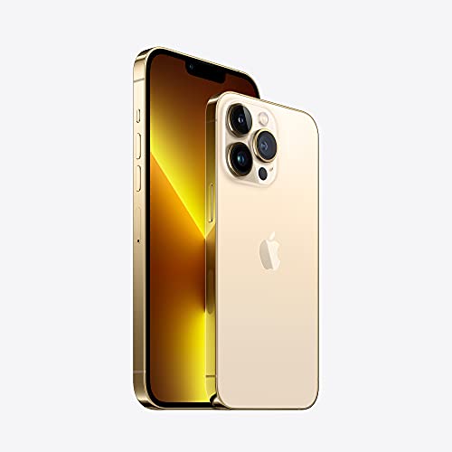 Apple iPhone 13 Pro Max (1TB) - ゴールド SIMフリー 5G対応