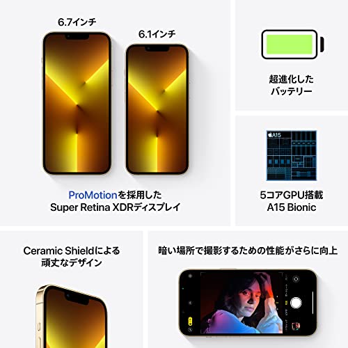 Apple iPhone 13 Pro Max (1TB) - ゴールド SIMフリー 5G対応