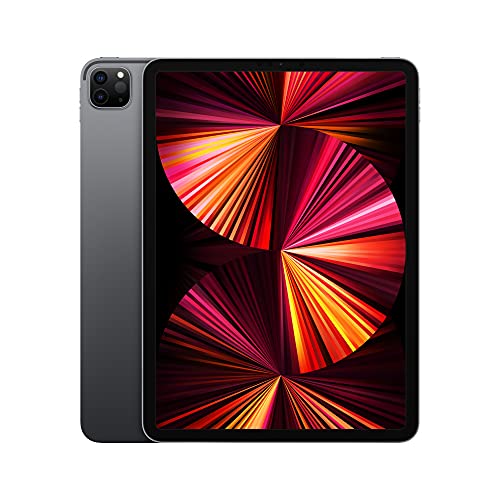 2021 Apple 11インチiPad Pro (Wi-Fi, 256GB) - スペースグレイ
