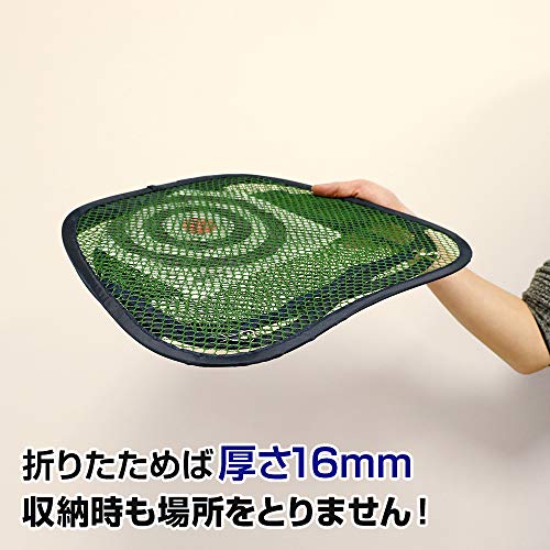 ダイヤゴルフ(DAIYA GOLF) ベタピンアプローチ 幅約450mm×奥行約420mm×高さ約400mm ポリエステル